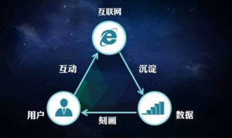 互聯(lián)網(wǎng)營(yíng)銷與互聯(lián)網(wǎng)銷售 數(shù)字化時(shí)代的商業(yè)雙翼